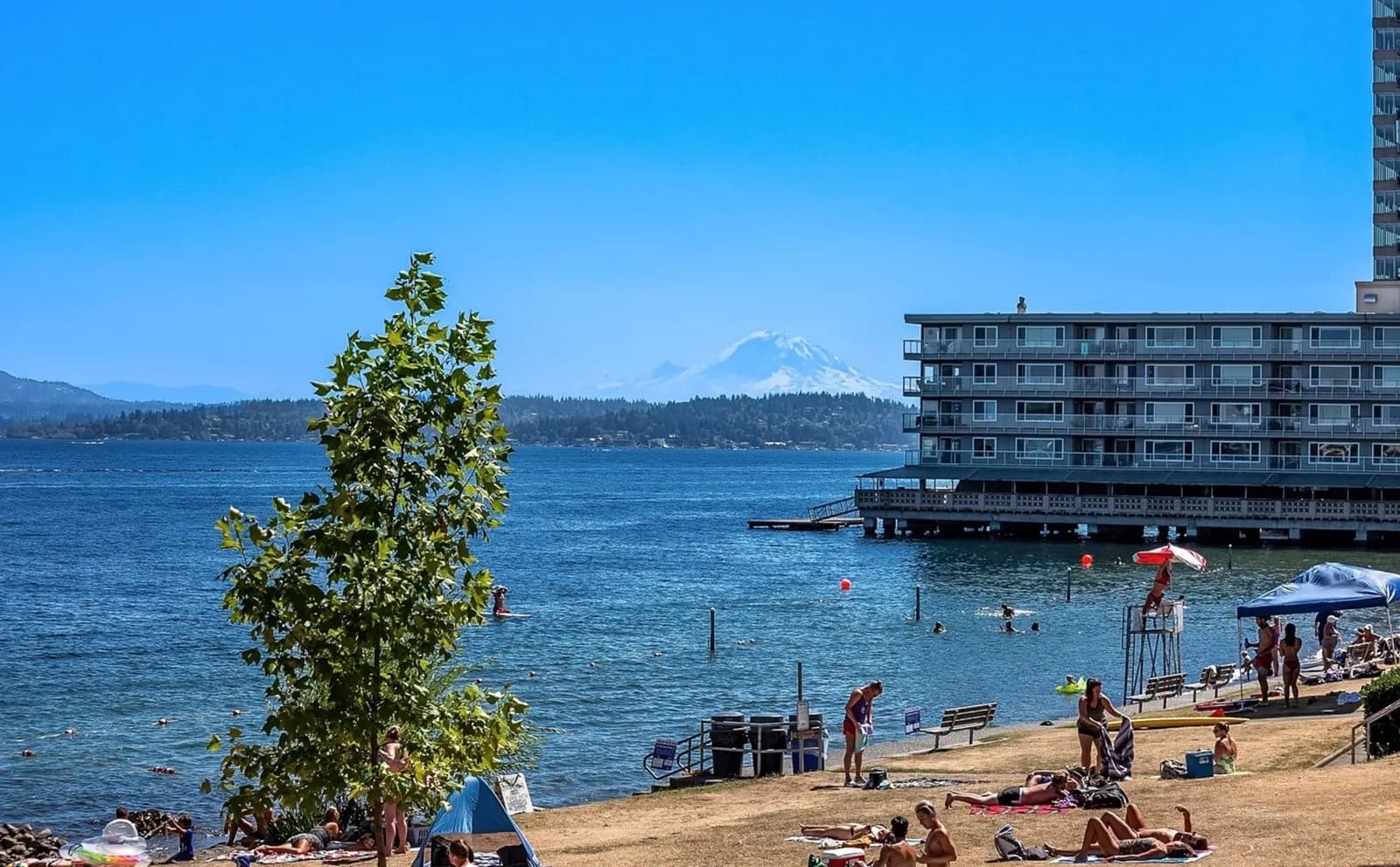Madison Park Waterfront