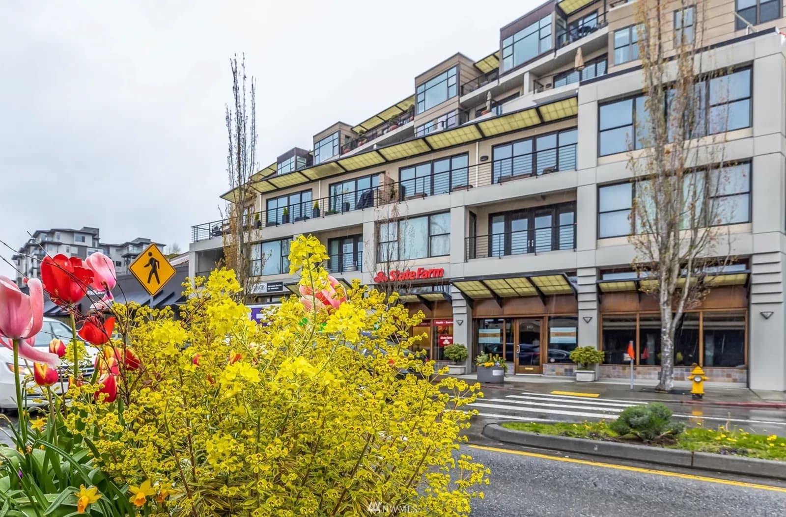 Marina Heights