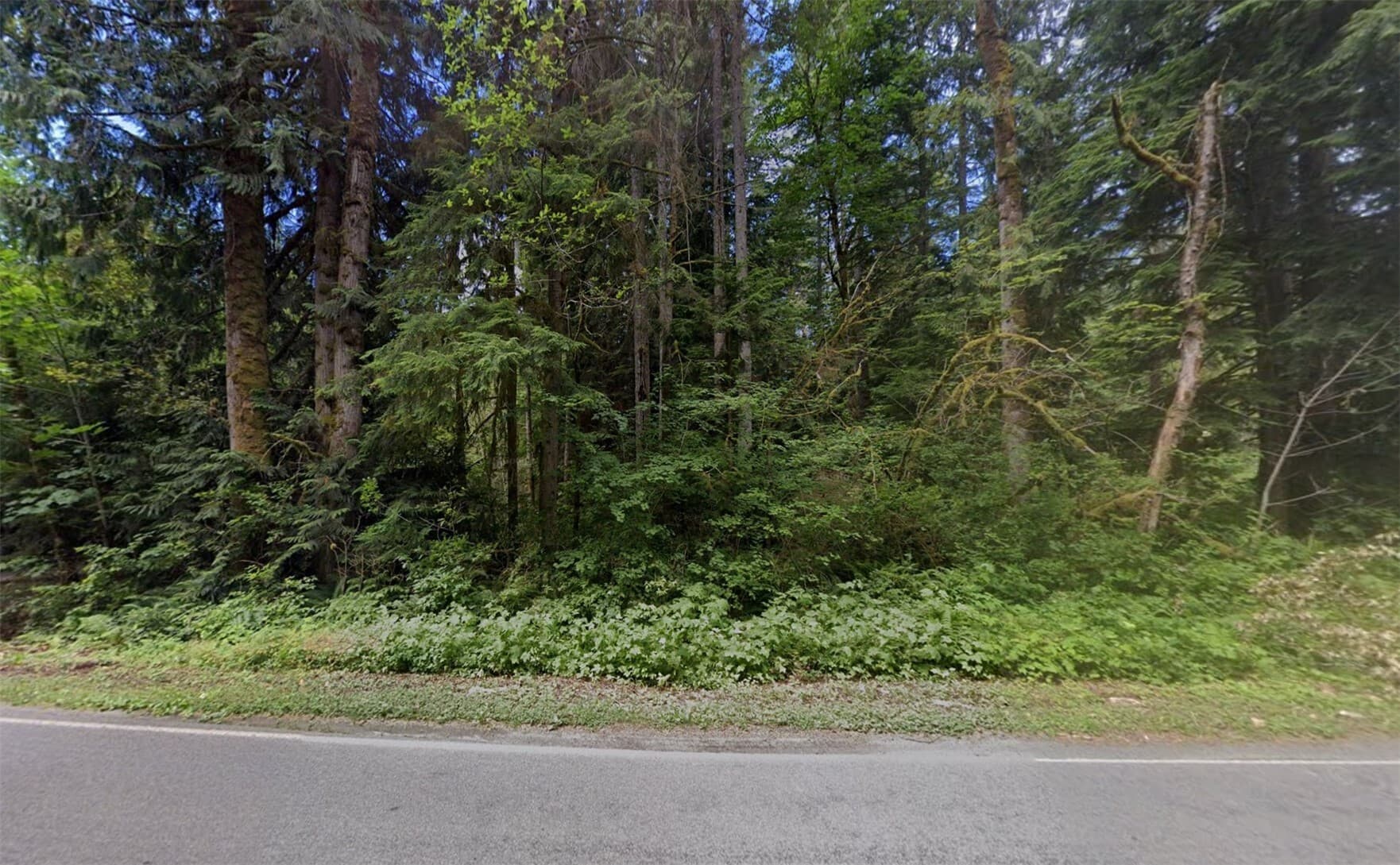 220 S Lake Roesiger Road